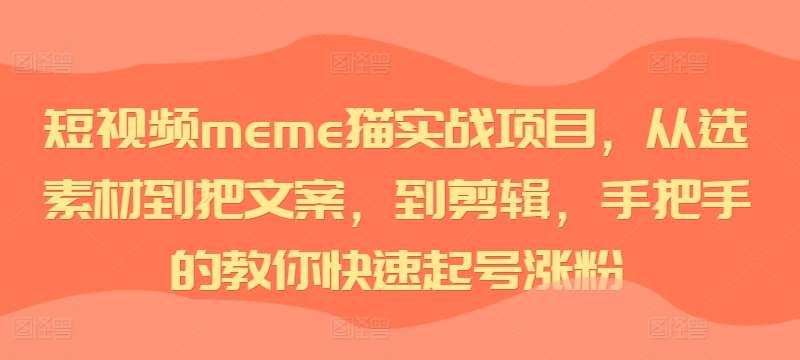 短视频meme猫实战项目，从选素材到把文案，到剪辑，手把手的教你快速起号涨粉-领学通