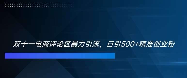 双十一电商评论区暴力引流，日引500+精准创业粉【揭秘】-领学通