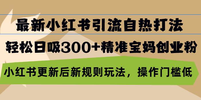 （13145期）最新小红书引流自热打法，轻松日吸300+精准宝妈创业粉，小红书更新后新…-领学通