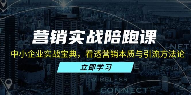 （13146期）营销实战陪跑课：中小企业实战宝典，看透营销本质与引流方法论-领学通