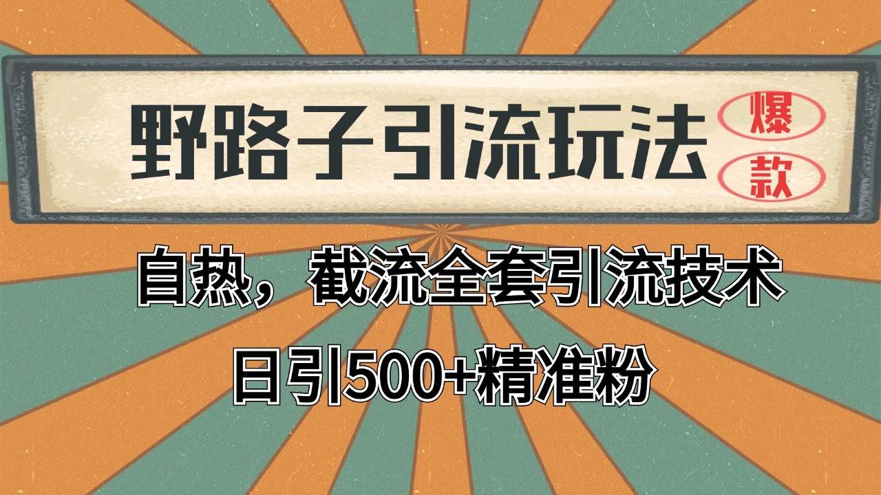 抖音小红书视频号全平台引流打法，全自动引流日引2000+精准客户-领学通