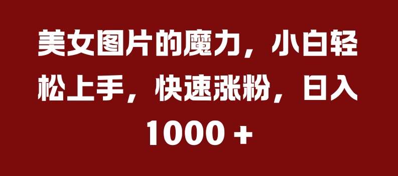 美女图片的魔力，小白轻松上手，快速涨粉，日入几张【揭秘】-领学通