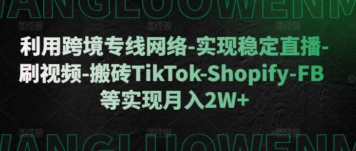 利用跨境专线网络-实现稳定直播-刷视频-搬砖TikTok-Shopify-FB等实现月入2W+【揭秘】-领学通