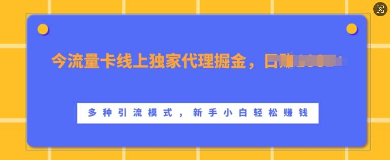 流量卡线上独家代理掘金，日入1k+ ，多种引流模式，新手小白轻松上手【揭秘】-领学通