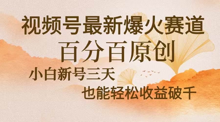 （13225期）视频号最新爆火赛道，中老年粉深信不疑，百分百原创，新号三天收益轻松…-领学通