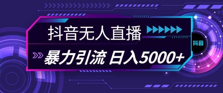 抖音快手视频号全平台通用无人直播引流法，利用图片模板和语音话术，暴力日引流100+创业粉【揭秘】-领学通