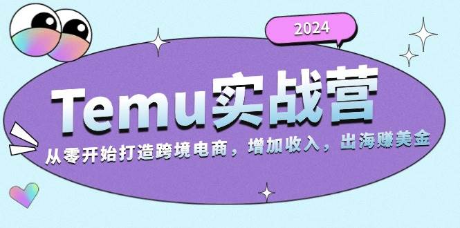（13266期）2024Temu实战营：从零开始打造跨境电商，增加收入，出海赚美金-领学通