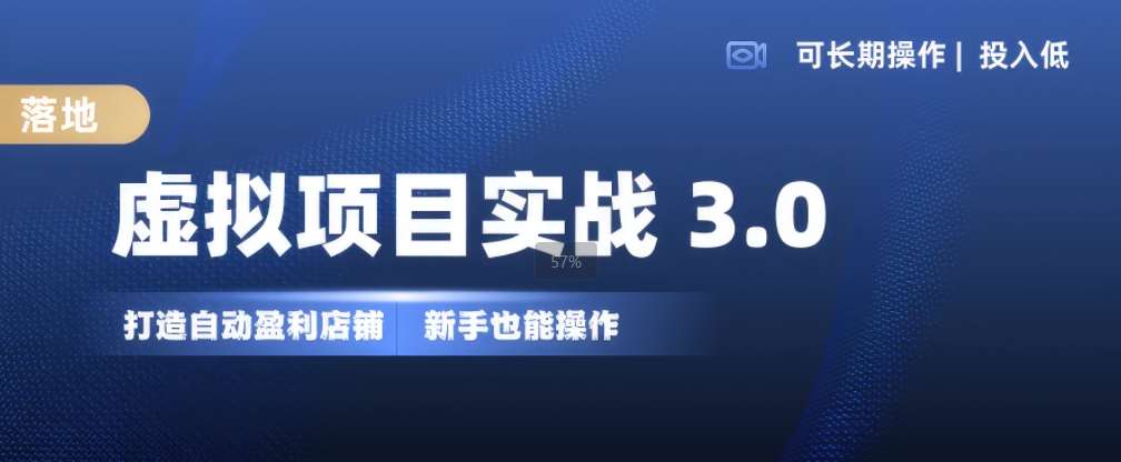 虚拟项目实战3.0，打造自动盈利店铺，可长期操作投入低，新手也能操作-领学通