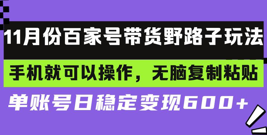 （13281期）百家号带货野路子玩法 手机就可以操作，无脑复制粘贴 单账号日稳定变现…-领学通