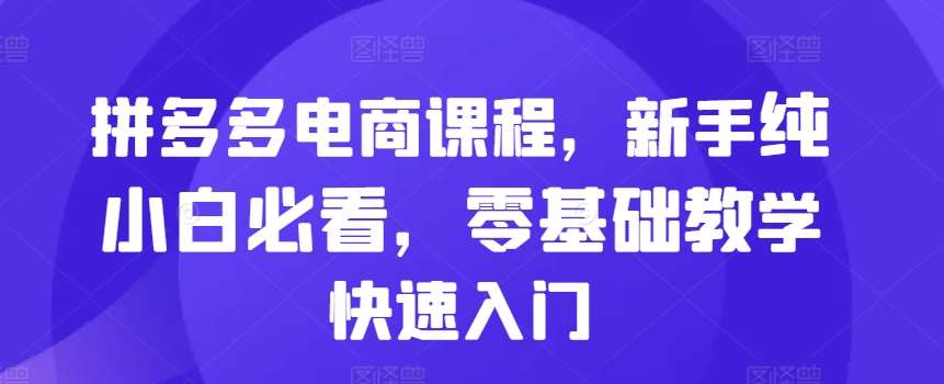 拼多多电商课程，新手纯小白必看，零基础教学快速入门-领学通