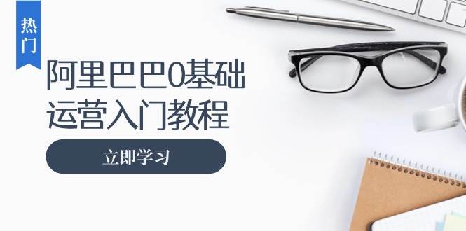 （13291期）阿里巴巴运营零基础入门教程：涵盖开店、运营、推广，快速成为电商高手-领学通