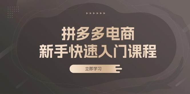 （13289期）拼多多电商新手快速入门课程：涵盖基础、实战与选款，助力小白轻松上手-领学通