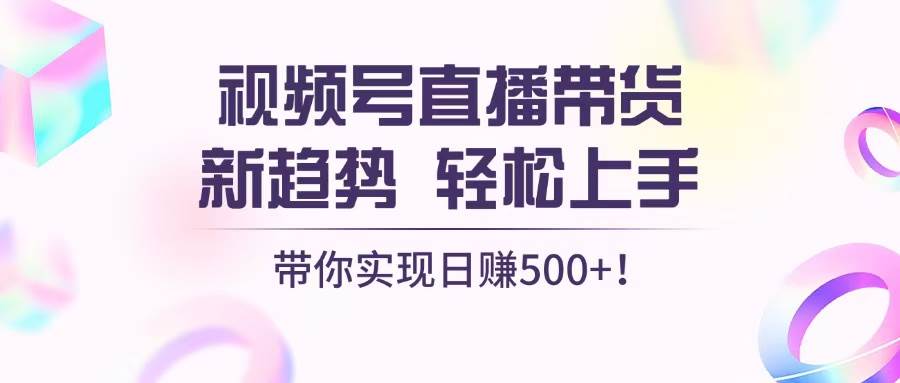 （13370期）视频号直播带货新趋势，轻松上手，带你实现日赚500+-领学通