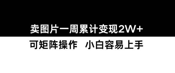 小红书【卖图片】一周累计变现2W+小白易上手-领学通