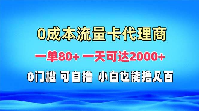 （13391期）免费流量卡代理一单80+ 一天可达2000+-领学通