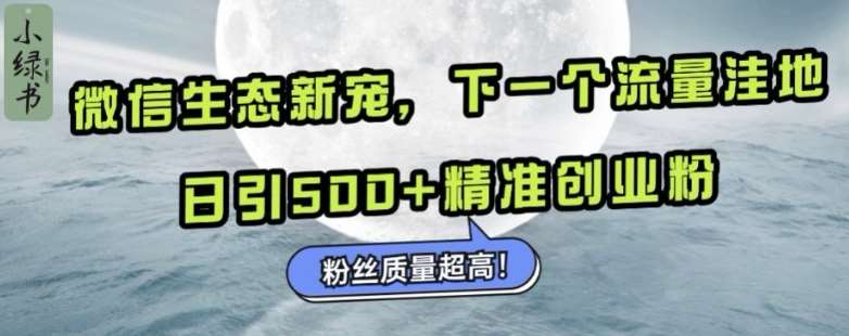 微信生态新宠小绿书：下一个流量洼地，日引500+精准创业粉，粉丝质量超高-领学通