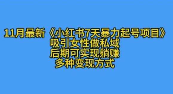 K总部落11月最新小红书7天暴力起号项目，吸引女性做私域【揭秘】-领学通