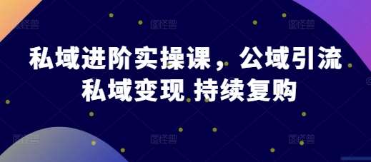 私域进阶实操课，公域引流 私域变现 持续复购-领学通