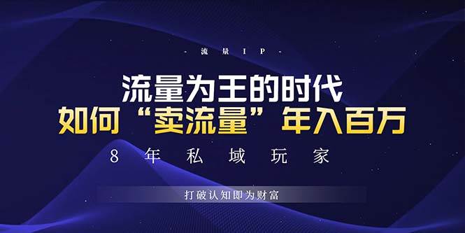 （13433期）未来如何通过“卖流量”年入百万，跨越一切周期绝对蓝海项目-领学通