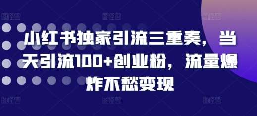 小红书独家引流三重奏，当天引流100+创业粉，流量爆炸不愁变现【揭秘】-领学通