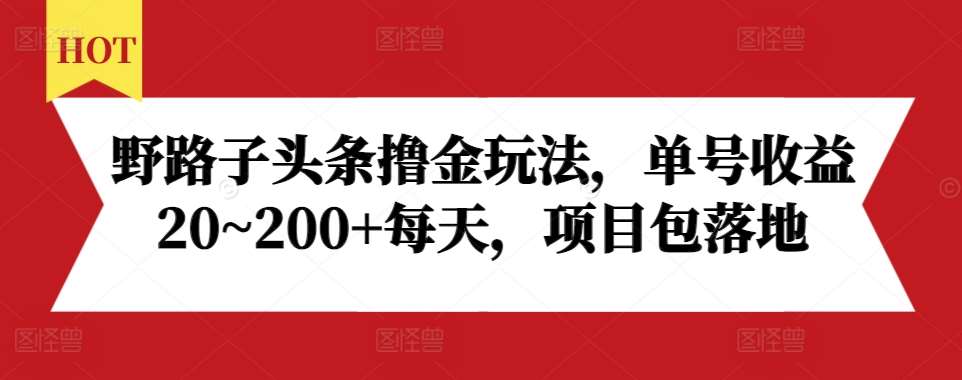 野路子头条撸金玩法，单号收益20~200+每天，项目包落地-领学通