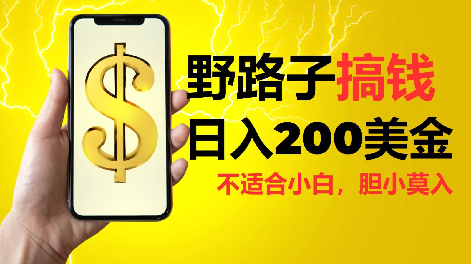 挂机野路子搞钱，日入200美金，路子很野，小白莫入-领学通