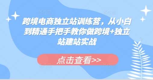 跨境电商独立站训练营，从小白到精通手把手教你做跨境+独立站建站实战-领学通
