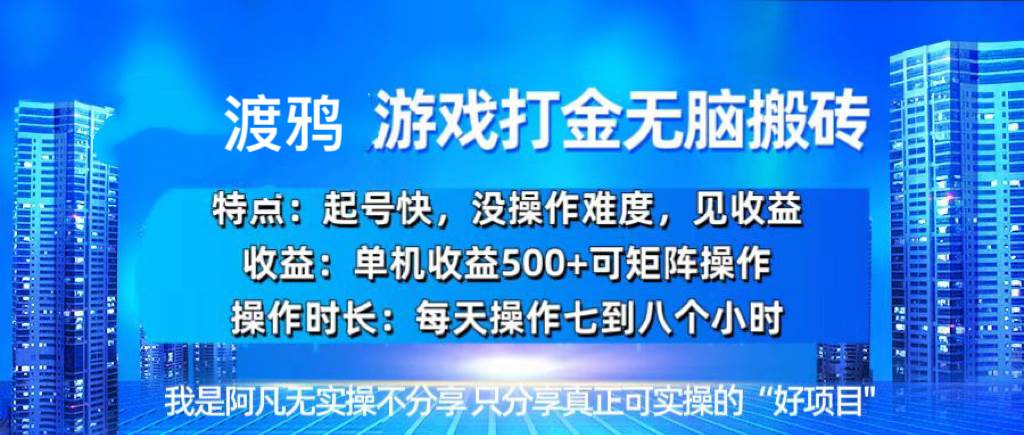 （13501期）韩国知名游戏打金无脑搬砖单机收益500+-领学通