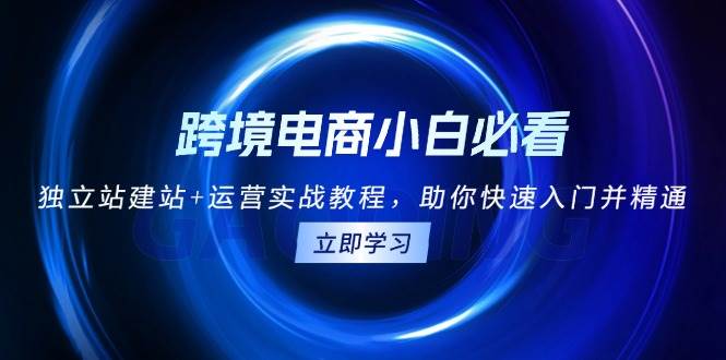 （13503期）跨境电商小白必看！独立站建站+运营实战教程，助你快速入门并精通-领学通