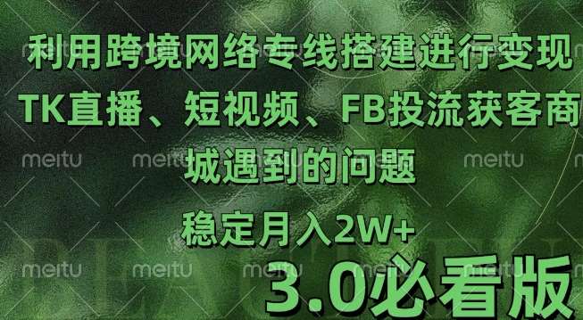 利用跨境电商网络及搭建TK直播、短视频、FB投流获客以及商城遇到的问题进行变现3.0必看版【揭秘】-领学通