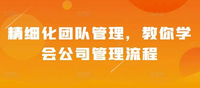 精细化团队管理，教你学会公司管理流程-领学通