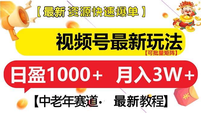 （13530期）视频号最新玩法 中老年赛道 月入3W+-领学通