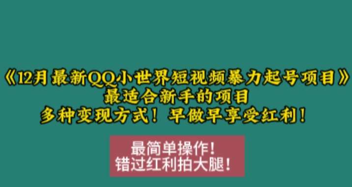 12月最新QQ小世界短视频暴力起号项目，最适合新手的项目，多种变现方式-领学通