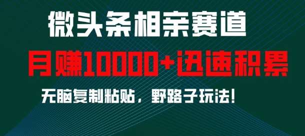 微头条相亲赛道，迅速积累，无脑复制粘贴，野路子玩法，月入1w-领学通