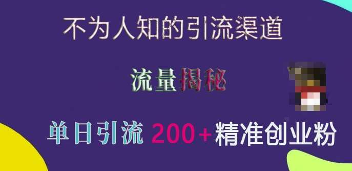 不为人知的引流渠道，流量揭秘，实测单日引流200+精准创业粉【揭秘】-领学通