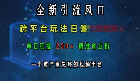 全新引流风口，跨平台玩法日入上k，单日狂揽200+精准创业粉，一个被严重忽略的视频平台-领学通