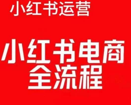 红薯电商实操课，小红书电商全流程-领学通