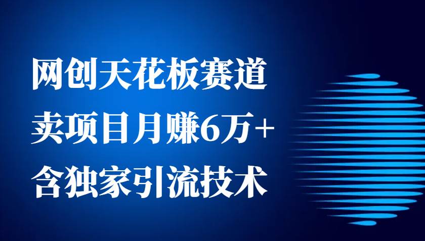 网创天花板赛道，卖项目月赚6万+，含独家引流技术（共26节课）-领学通