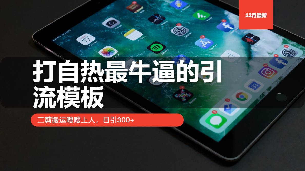 （13654期）打自热最牛逼的引流模板，二剪搬运嗖嗖上人，日引300+-领学通