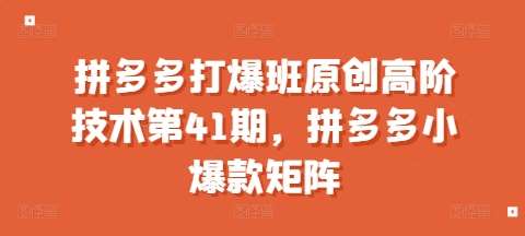 拼多多打爆班原创高阶技术第41期，拼多多小爆款矩阵-领学通