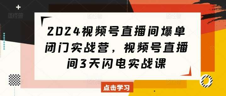 2024视频号直播间爆单闭门实战营，视频号直播间3天闪电实战课-领学通