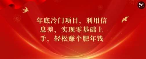 年底冷门项目，利用信息差，实现零基础上手，轻松赚个肥年钱【揭秘】-领学通
