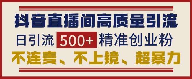 抖音直播间引流创业粉，无需连麦、不用上镜、超暴力，日引流500+高质量精准创业粉-领学通