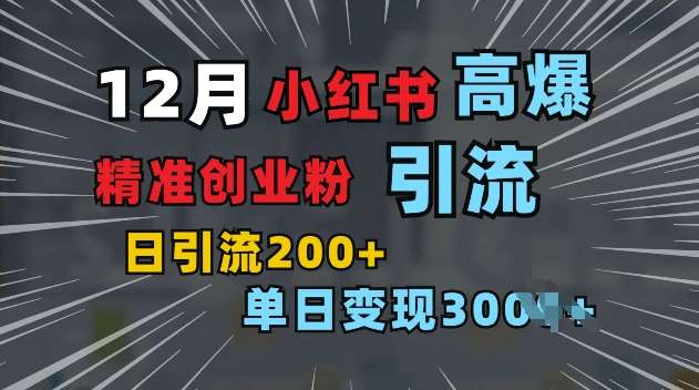 小红书一张图片“引爆”创业粉，单日+200+精准创业粉 可筛选付费意识创业粉【揭秘】-领学通
