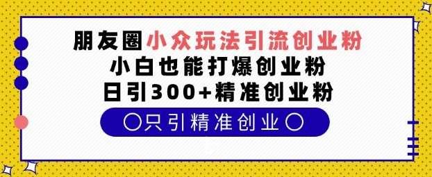 朋友圈小众玩法引流创业粉，小白也能打爆创业粉，日引300+精准创业粉【揭秘】-领学通