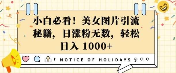 小白必看，美女图片引流秘籍，日涨粉无数，轻松日入几张【揭秘】-领学通