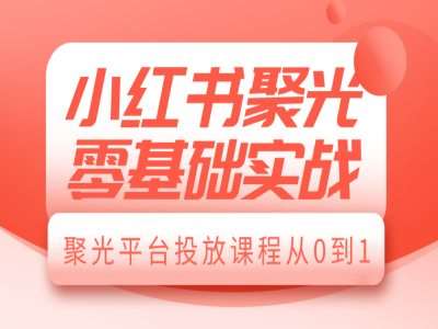 小红书聚光零基础实战，聚光平台投放课程从0到1-领学通