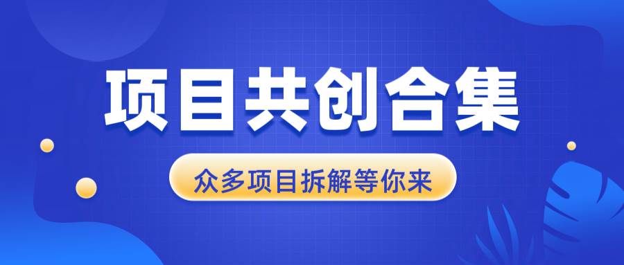 （13778期）项目共创合集，从0-1全过程拆解，让你迅速找到适合自已的项目-领学通
