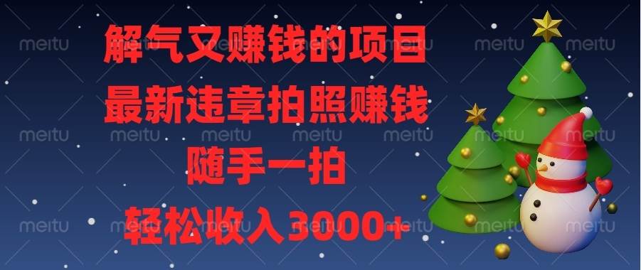（13804期）解气又赚钱的项目，最新违章拍照赚钱，随手一拍，轻松收入3000+-领学通