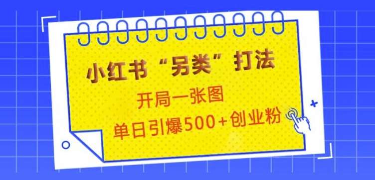 小红书“另类”打法，开局一张图，单日引爆500+精准创业粉【揭秘】-领学通